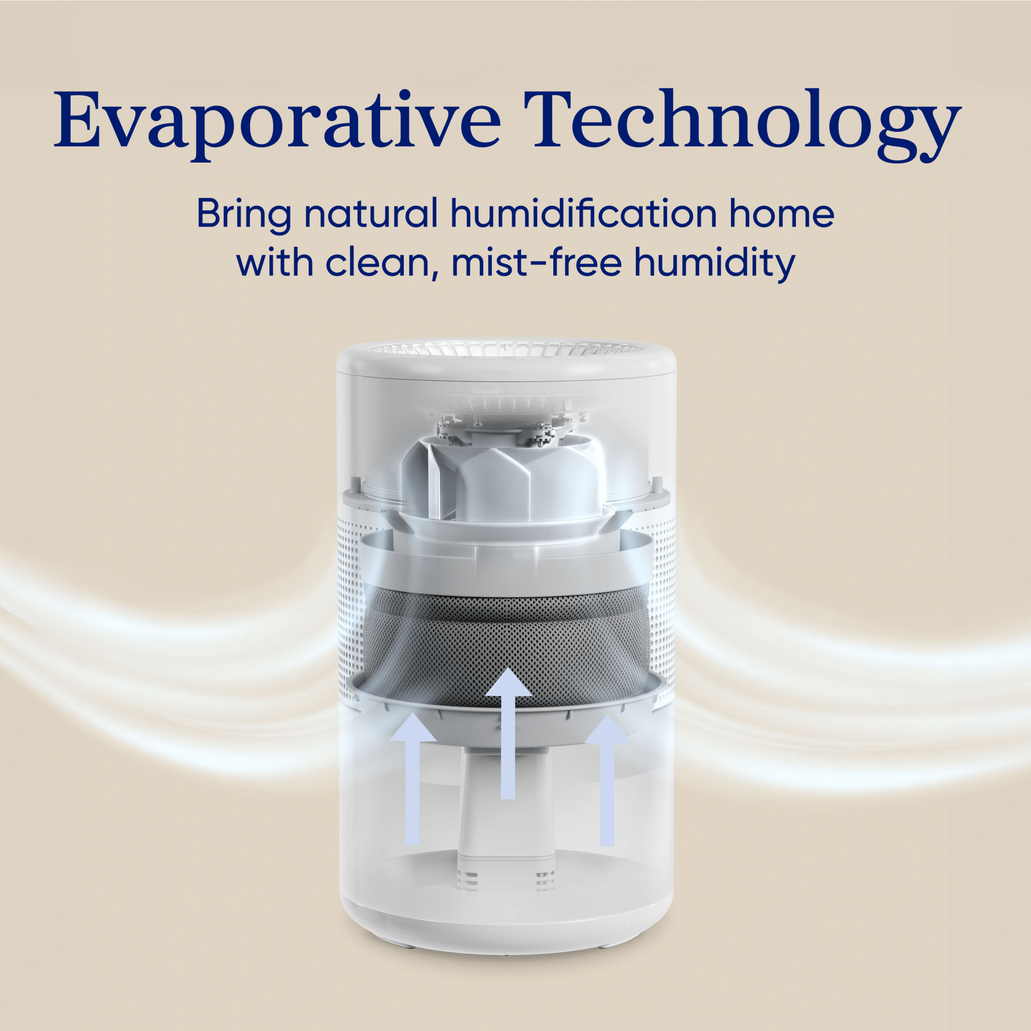 Levoit Superior? Studio Smart Evaporative Humidifier - Image 2